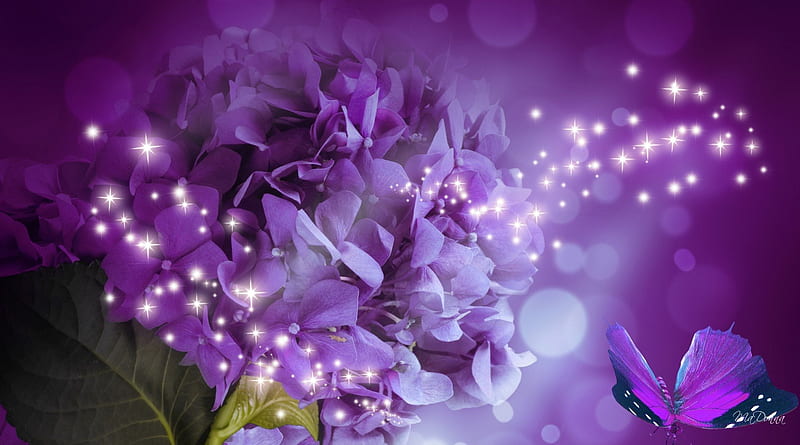 Hydrangea Sparkle, stars, flowers, autumn, hydrangea, glow, glitter, shine, lavender, glimmer, sparkle, butterfly, purple, summer, papillon, flowers, HD wallpaper