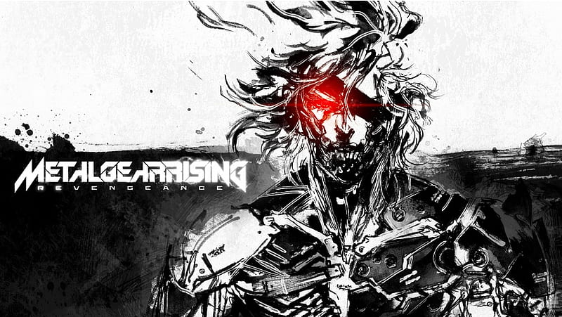 Blade Master Metal Gear Rising Reven, HD wallpaper