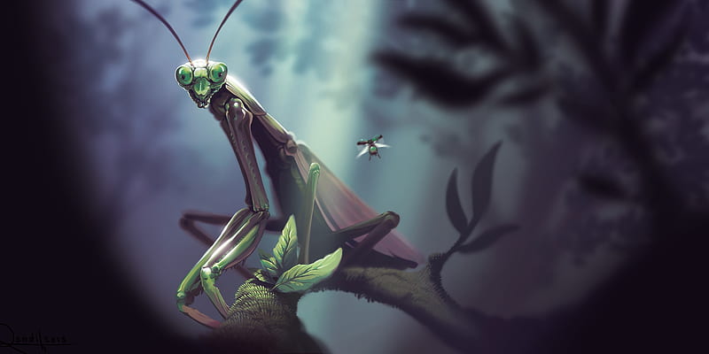 praying mantis, insect, mantis, fly, leaves, panting, HD wallpaper