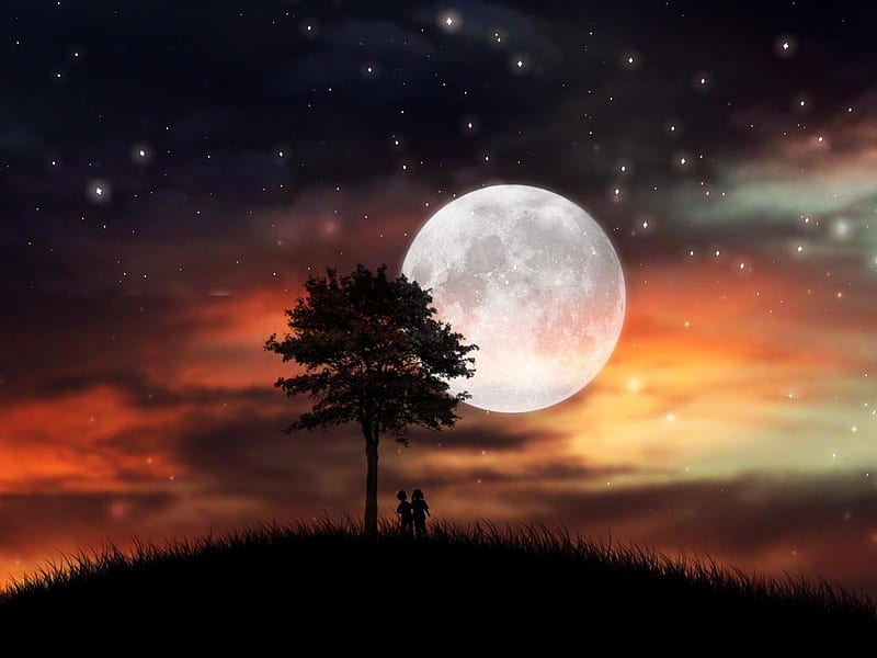 MOON NIGHT, stars, moon, grass, sunset, clouds, sky, couple, night, HD wallpaper