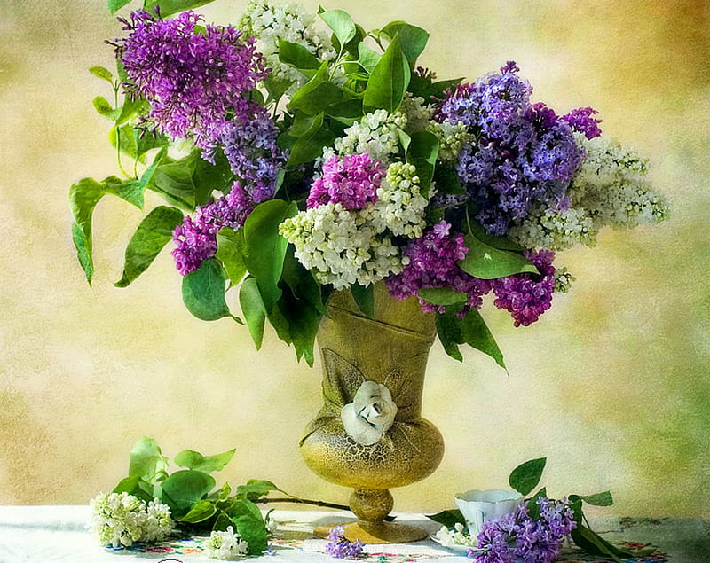 Aromatic Beauty, still life, gold vase, flowers, vase, lilacs, teacup, HD wallpaper