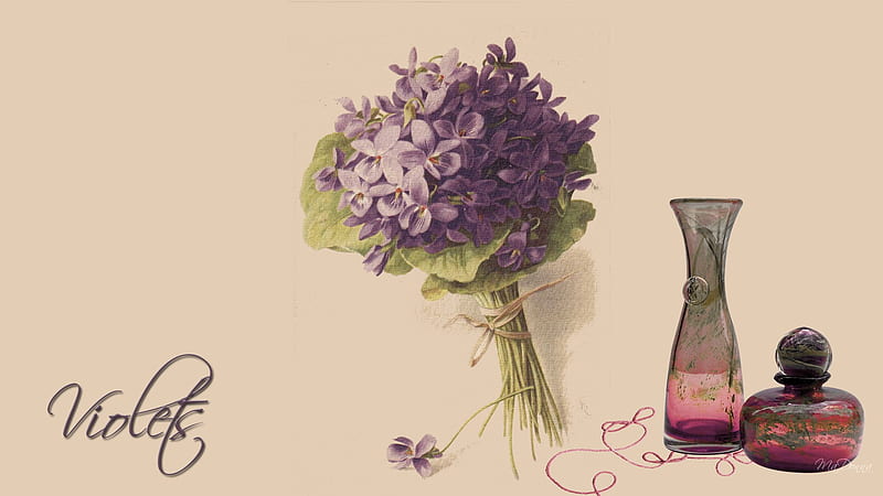 Vintage Violets, antique, string, violets, firefox persona, lavender, parchment paper, vintage, HD wallpaper