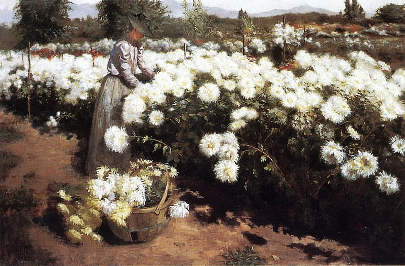 Fanne Duval. 1891. 'Chrysanthemum garden in California'., classic art, chrysanthemums, flowers, impressionist, HD wallpaper