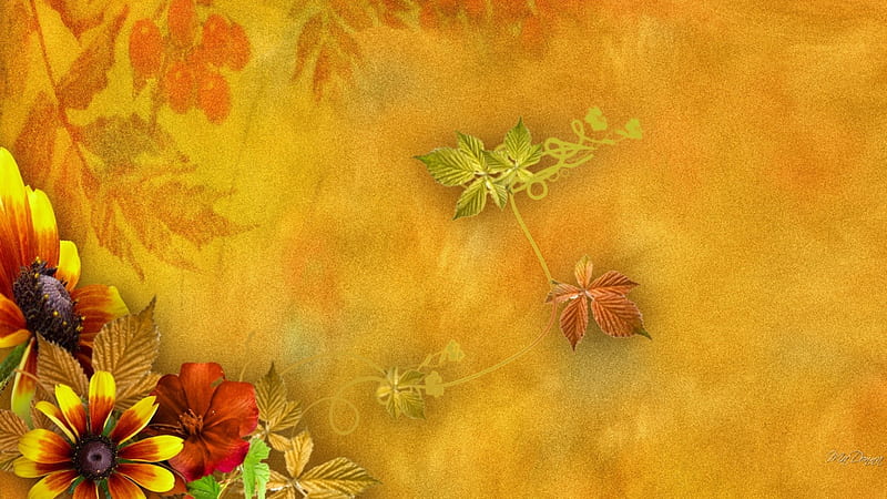 Fall So Fine, fall, autumn, gold, leaves, orange, flowers, vines, HD wallpaper