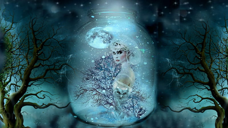 Creative graphy Set Me , pretty, dreamy, trap, magic, bonito, women are special, fantasy, jar, trapped, owl, lovely, storybook, elf, trees, bird, creative graphy, magical, HD wallpaper