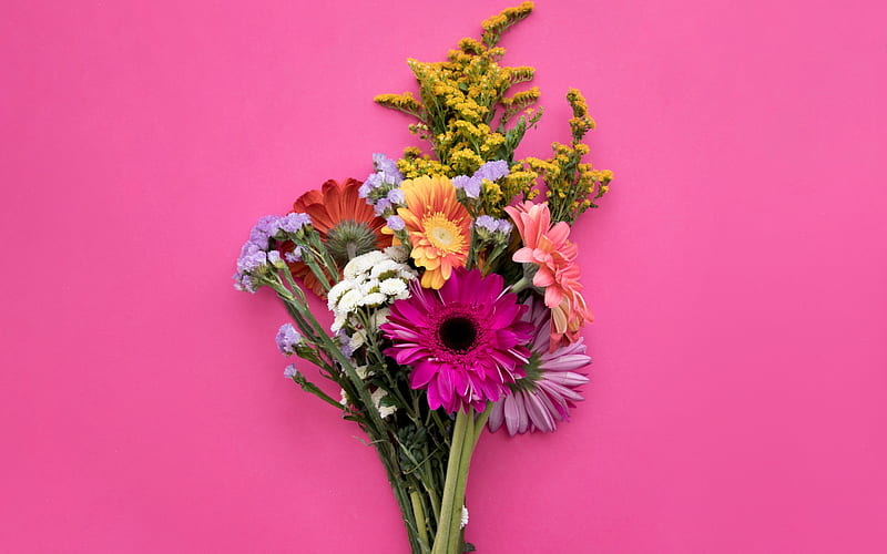 bouquet of spring flowers, gerbera, pink background, spring, beautiful bouquet of flowers, HD wallpaper