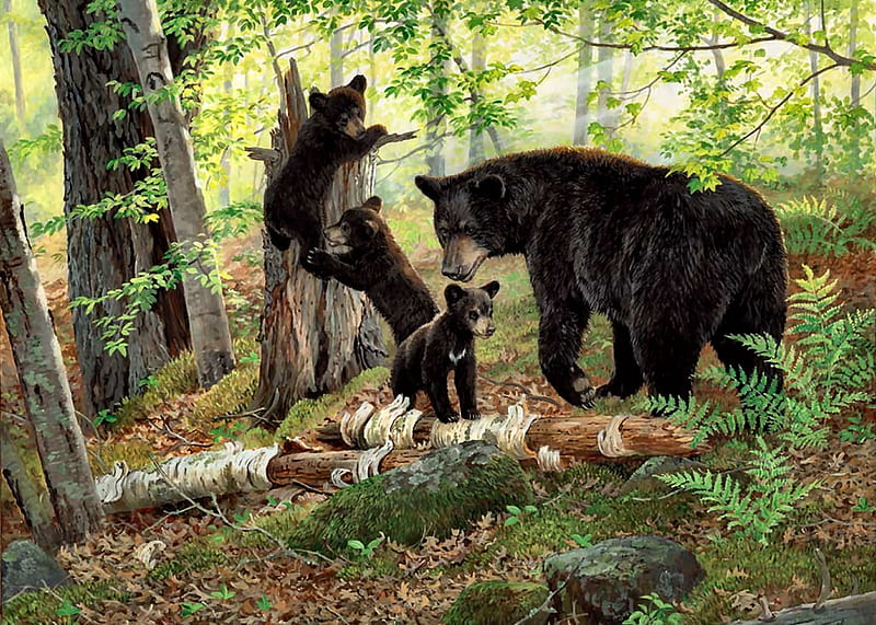Playtime - Bears F, art, bear, bonito, illustration, artwork, animal, painting, wide screen, wildlife, nature, cubs, HD wallpaper