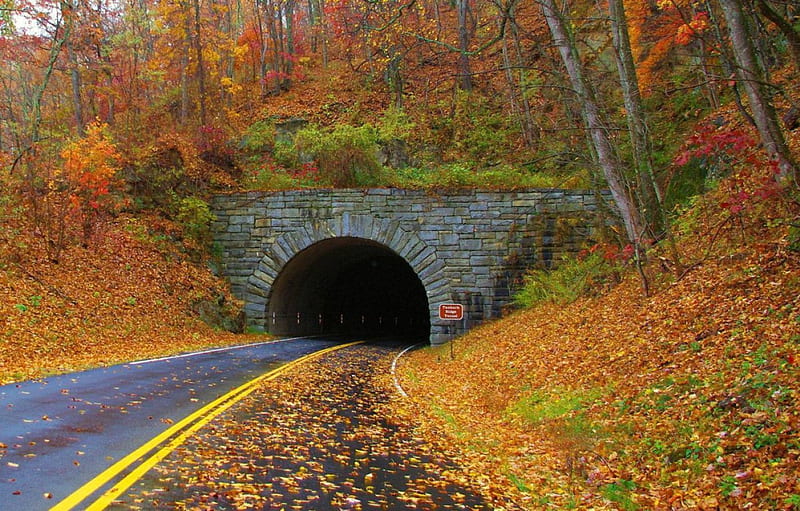 Tunnel in Blue Ridge Mountains, colorful, Tunnel, Autumn, Falling leaves, HD wallpaper