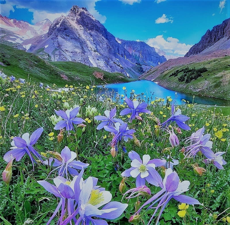 light blue, flowers, sky, mountains, lake, HD wallpaper