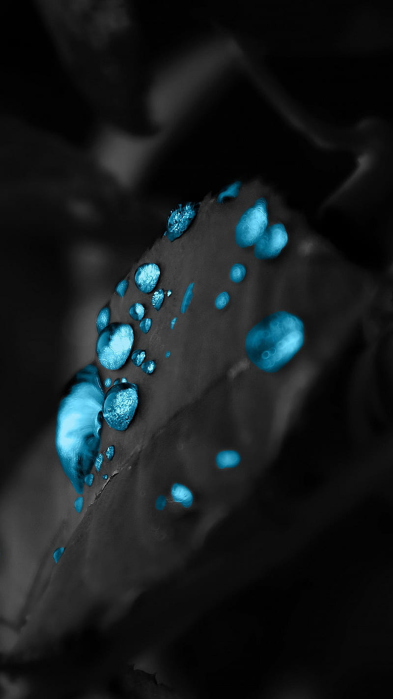 Blue Water Drops, edge, frases, galaxy, girl, glass, glasses, golden, original, tumblr, HD phone wallpaper