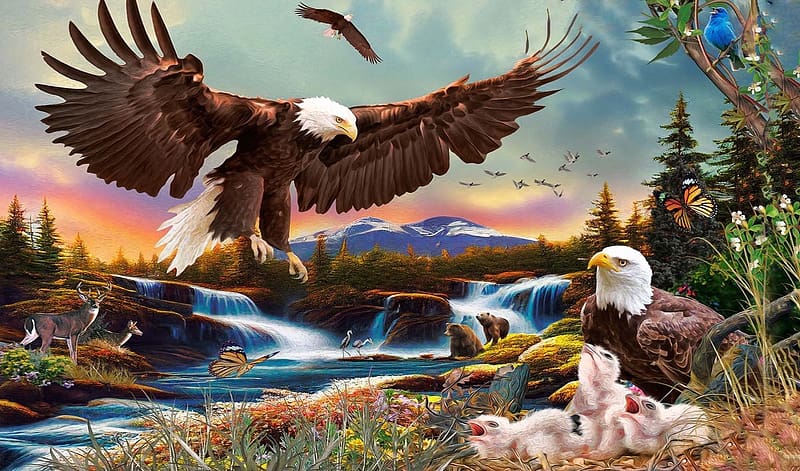 Feeding the Baby Eagles, babies, birds, Eagles, nest, scenic, HD wallpaper
