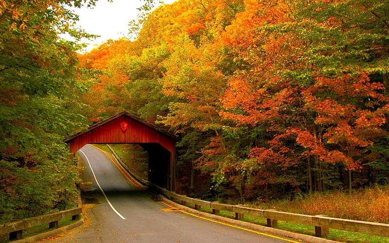 Bridges Road Fall Covered Bridge Hd Wallpaper Peakpx 