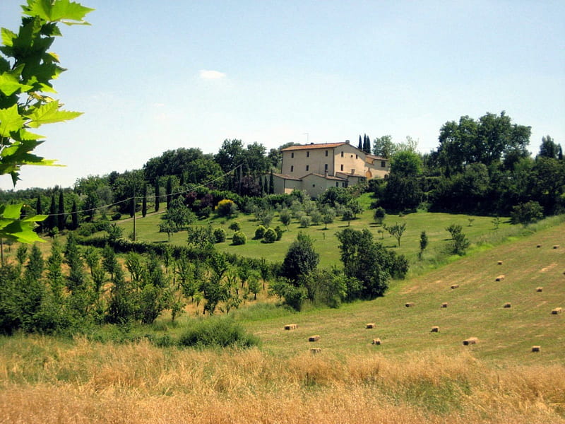 Tuscany, house, leaves, green, nature, trees, sky, blue, leaf, HD wallpaper