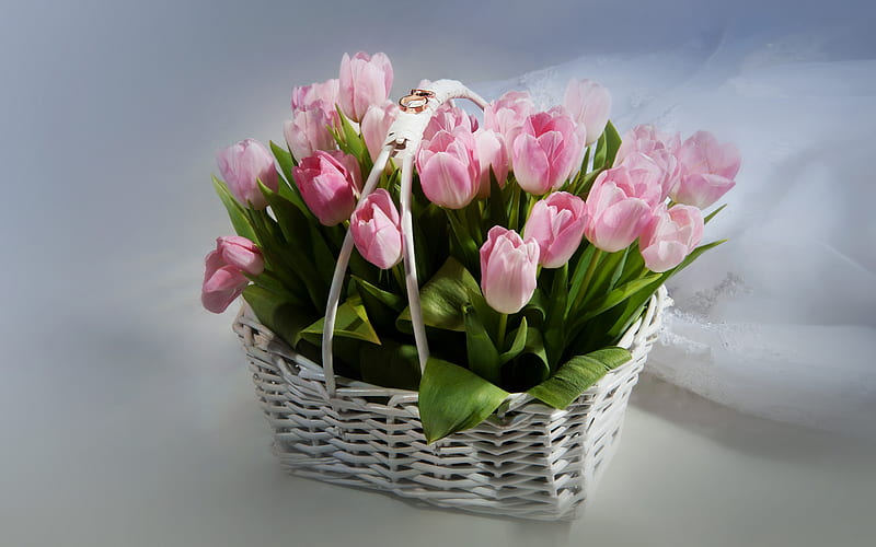 wedding rings, pink tulips, wedding, basket of flowers, Golden rings, HD wallpaper