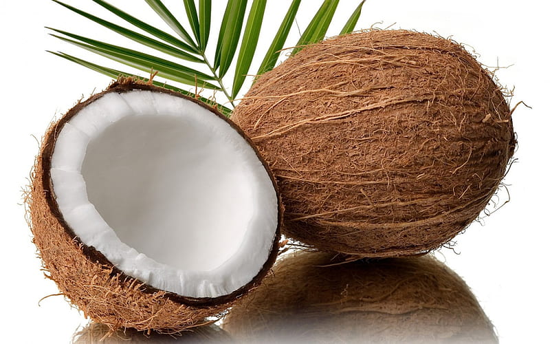 Coconut, fruit, nuts, graphy, food, fruits, healthy, HD wallpaper