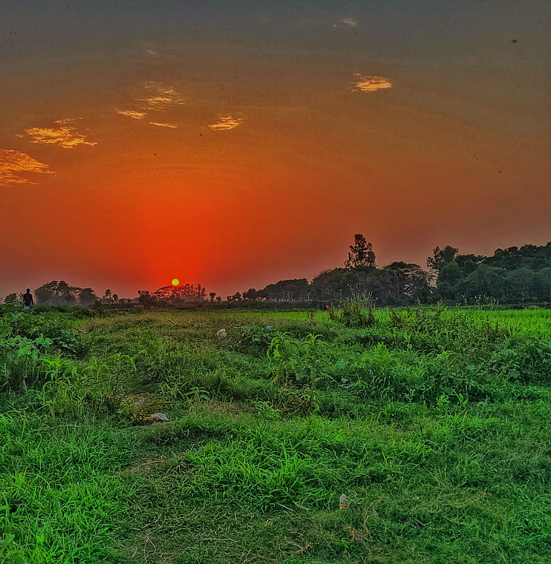 Village Sunset , bangladesh, beautiful bangladesh, evening, sky, sunset, village, HD phone wallpaper