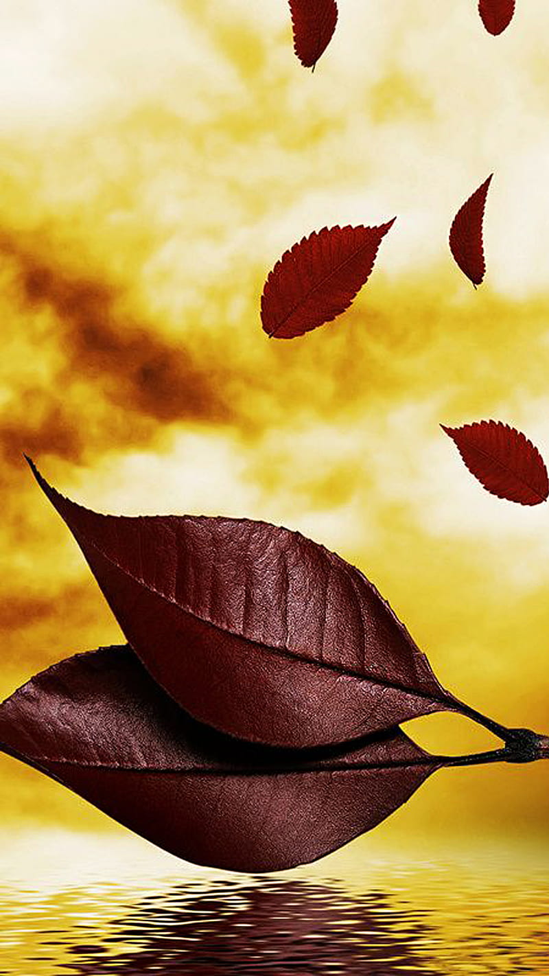 Red leaves, fall, lake, water, yellow, HD phone wallpaper | Peakpx