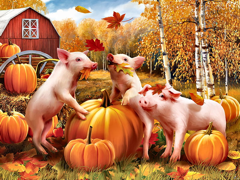 Pigs and Pumpkins FC, art, autumn, bonito, illustration, artwork, pigs, painting, wide screen, farm animals, pumpkins, HD wallpaper