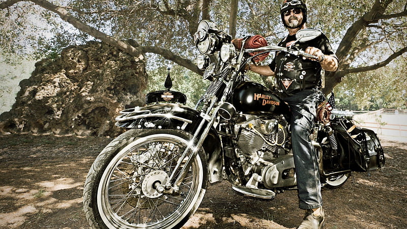 old harley davidson with old biker r, tree, r, country, biker, motorcycle, HD wallpaper