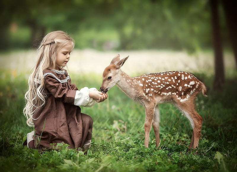 Little Girl, Girl, Joy, Deer, Child, HD wallpaper