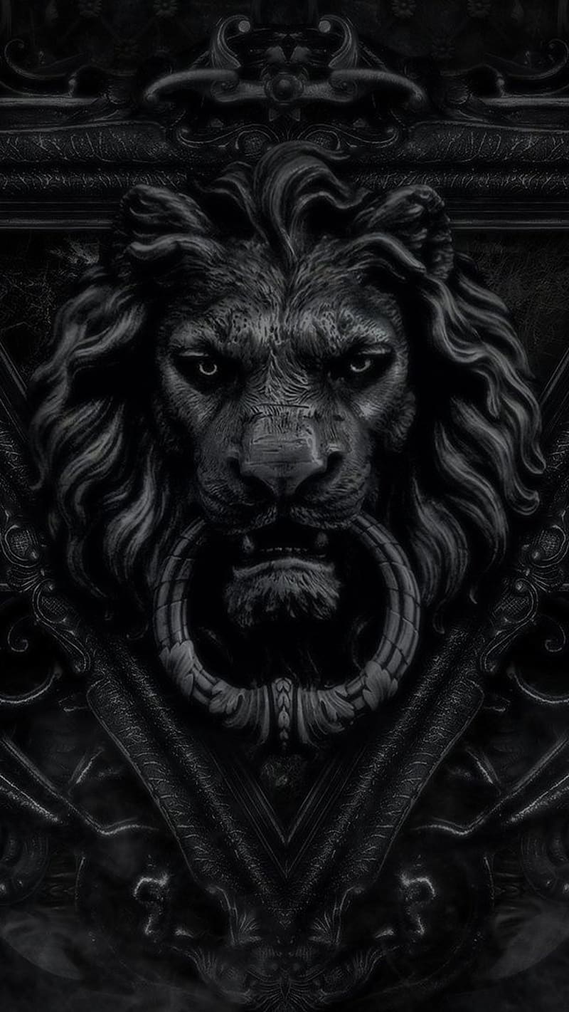 Black Dp, lion, black, HD phone wallpaper | Peakpx