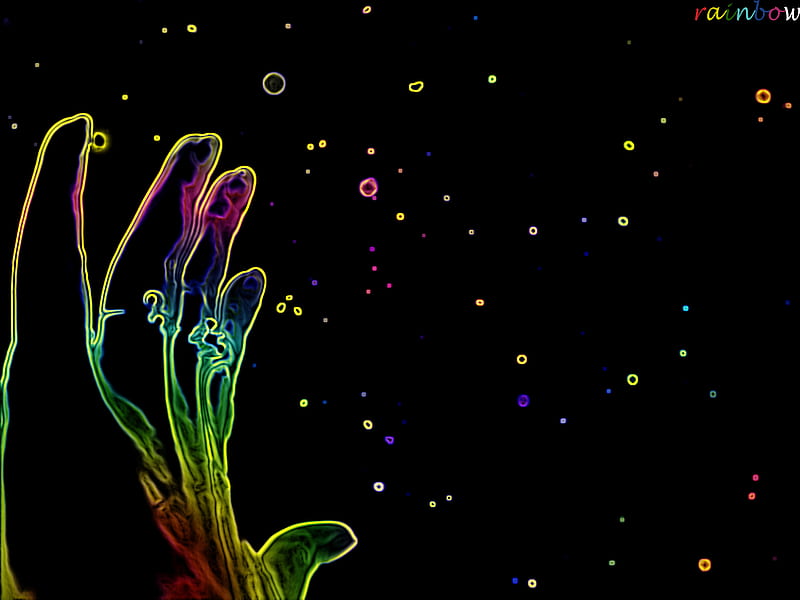 hand against rainbow, stars, touch, wish, hand, rainbow, fingers, HD wallpaper