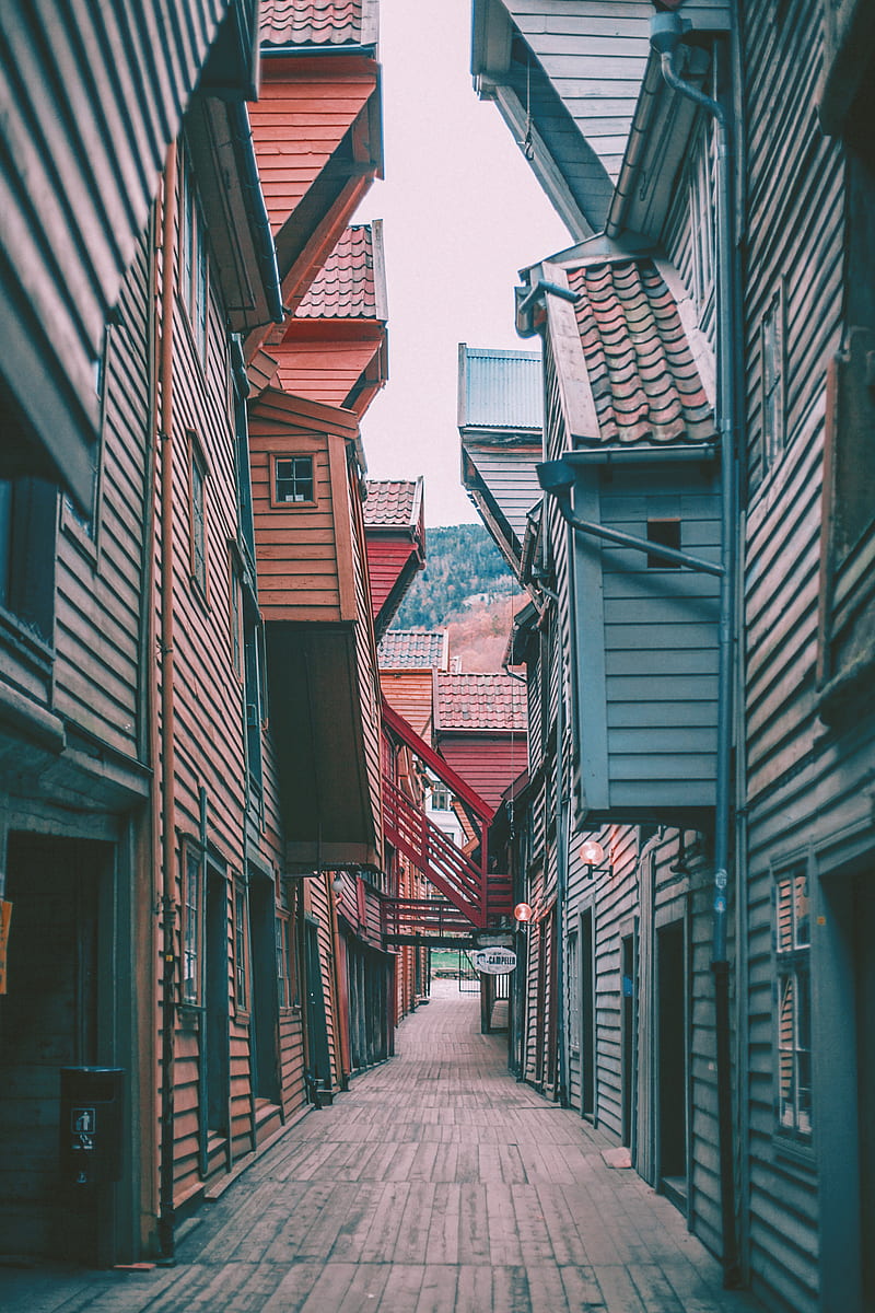 assorted-color houses between empty alley screenshot, HD phone wallpaper