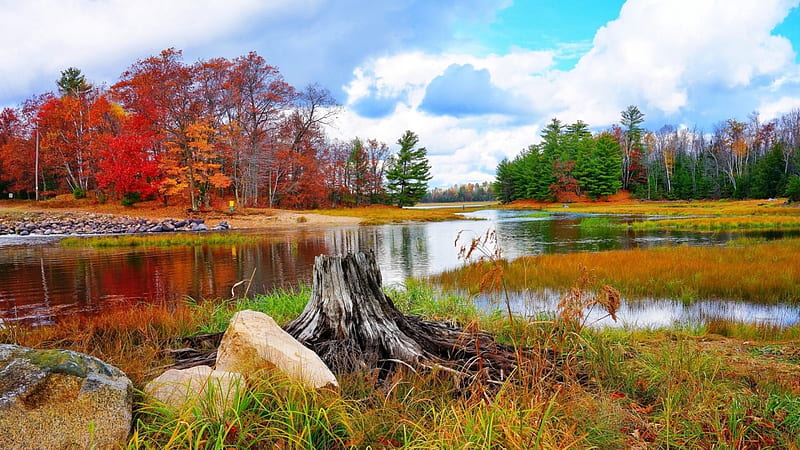 lovely river landscape in fall, rocks, autumn, shores, grass, river, trees, stump, HD wallpaper