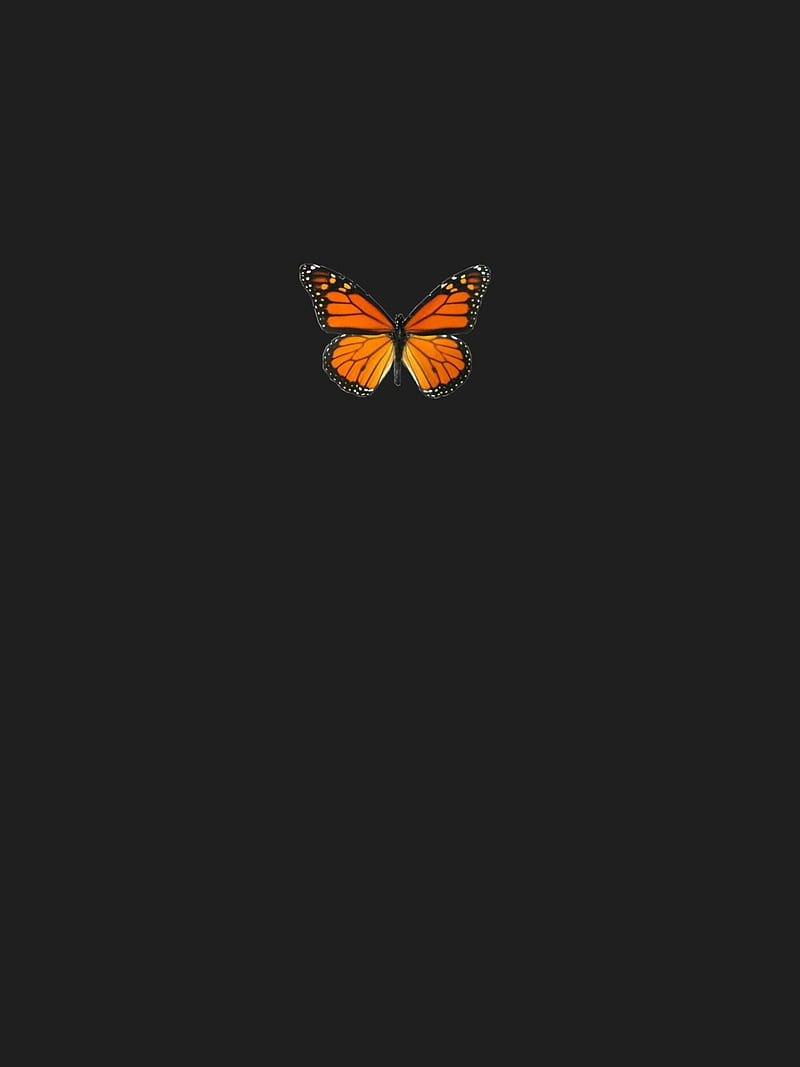 VSCO Orange Butterflies, Small Butterflies, HD phone wallpaper