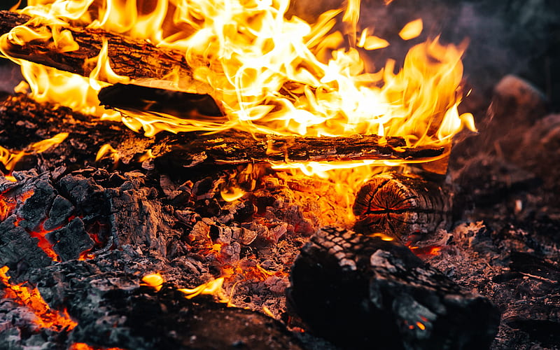 bonfire, burning flame, smoldering coal, burning tree, fire, HD wallpaper