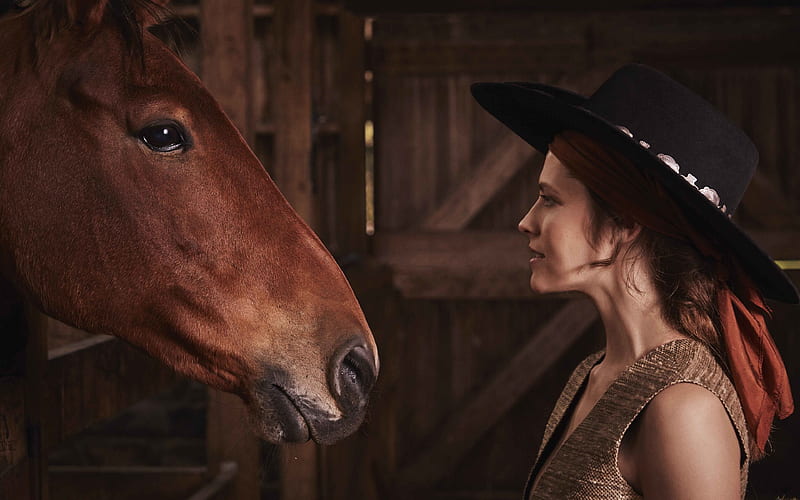 Teresa Palmer, Australian actress, shoot, stable, brown horse, fashion model, Teresa Mary Palmer, HD wallpaper