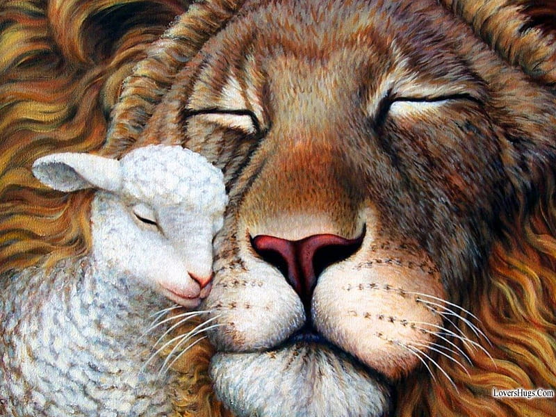 ✰Love has no boundaries✰, pretty, splendid, together, bonito, splendor, emotional, friendship, feels, love, painting, lamb, forests, embrace, animals, lovely, lion, sheep, cute, Love has no boundaries, warmth, hugs, kisses, tender touch, nature, HD wallpaper