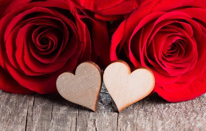 Roses Heart Love Red Couple Hd Wallpaper Peakpx
