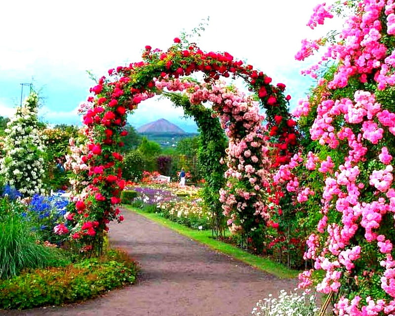 Beautiful garden, path, garden, flowers, arch, HD wallpaper | Peakpx