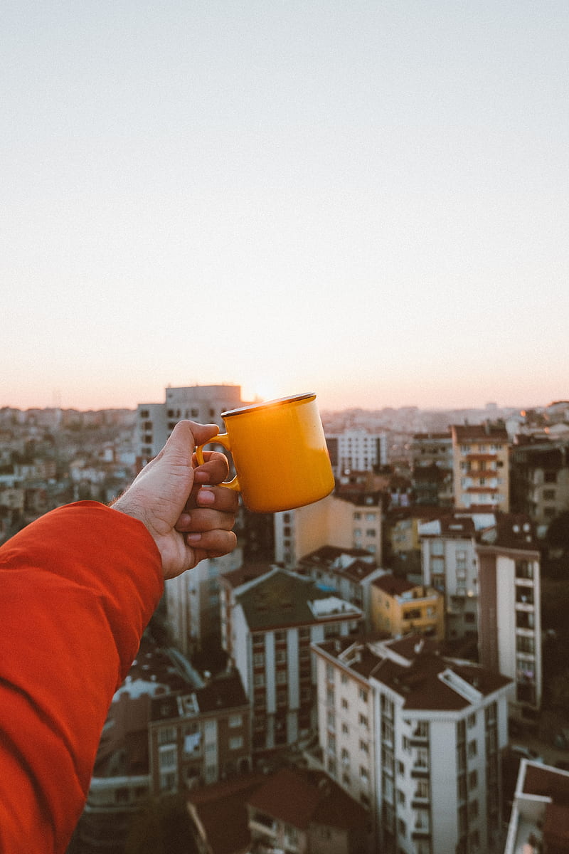 hand, mug, city, roofs, sundawn, rising sun, HD phone wallpaper