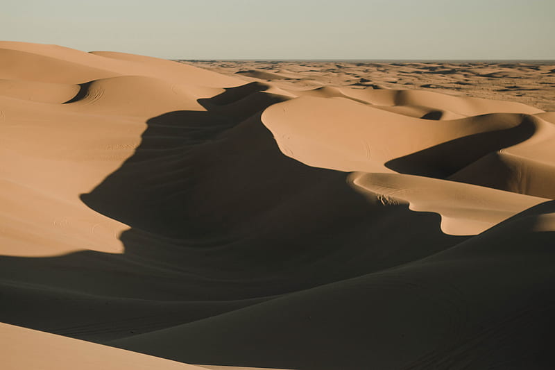 desert, sand, shadows, dunes, HD wallpaper