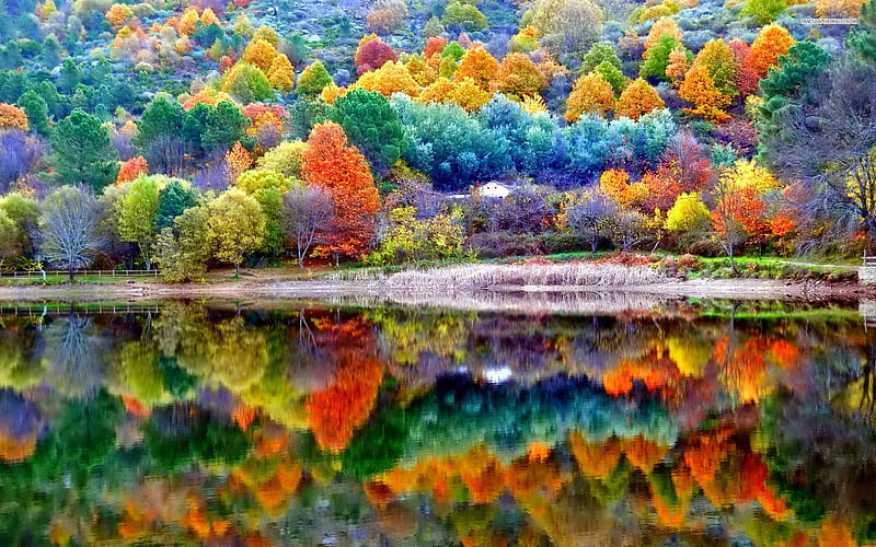 Paisaje de otoño, otoño, paisaje, naturaleza, Fondo de pantalla HD | Peakpx