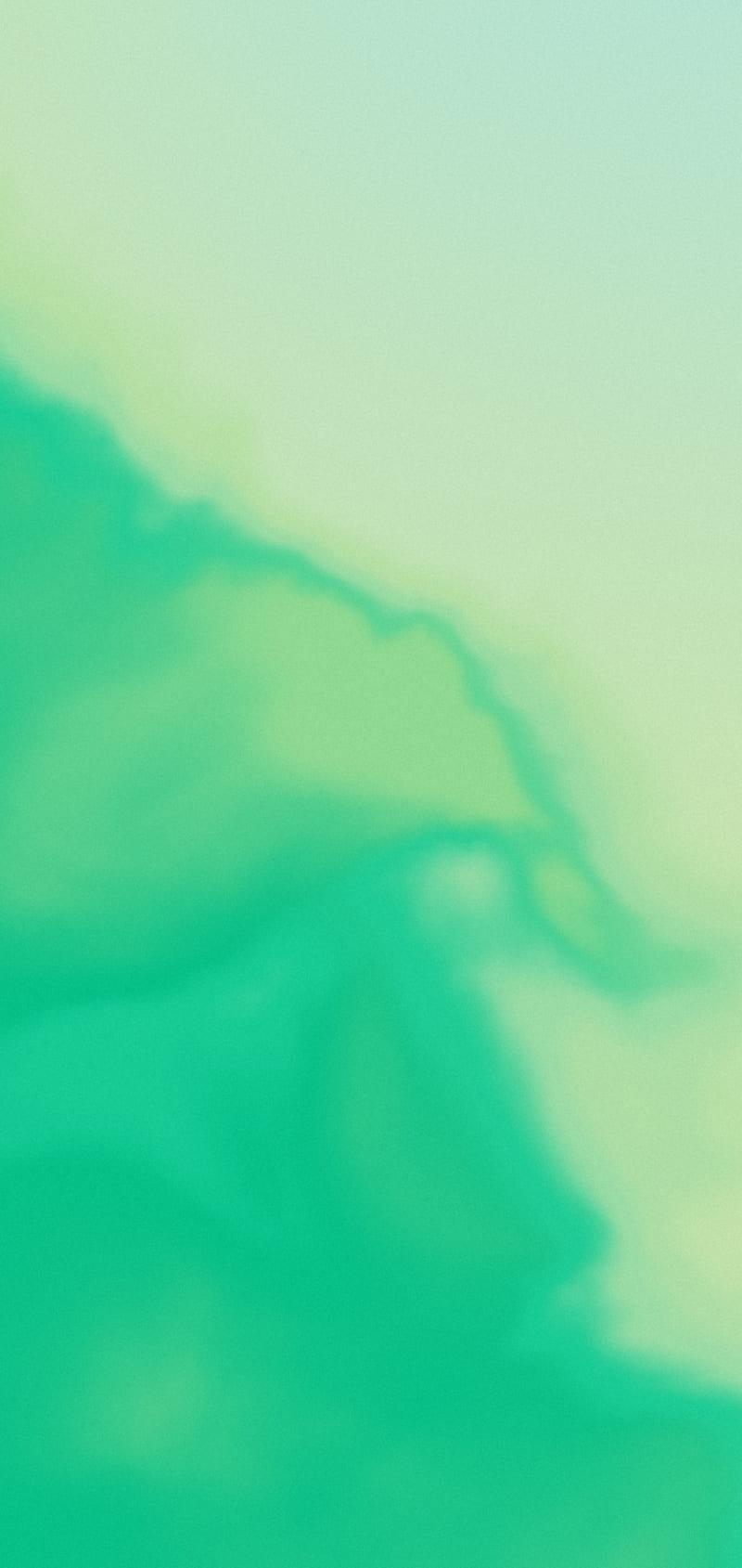Seaweed, pixel 3, stoche, HD phone wallpaper