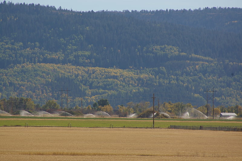 Irrigation near Victor, Idaho, Fall, Mountains, Autumn, Irrigation, HD wallpaper