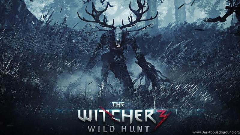 Background The Witcher 3 Wild Hunt Game Logo . Background, HD wallpaper