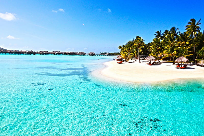 Beautiful Perfect Clear Blue Lagoon Ocean and white sand paradise beach on Tropical Island Bora Bora Tahiti Polynesia, polynesia, resort, reef, zen, french, retreat, palm, atoll, lagoon, beach, aqua, beauty, luxury, islands, holiday, tahitian, ocean, pacific, coral, trees, south, water, society, paradise, white, perfect, bonito, sea, turquoise, bora bora, sand, polynesian, blue, exotic, clear, peace, escape, alone, spa, island, tropical, tahiti, HD wallpaper
