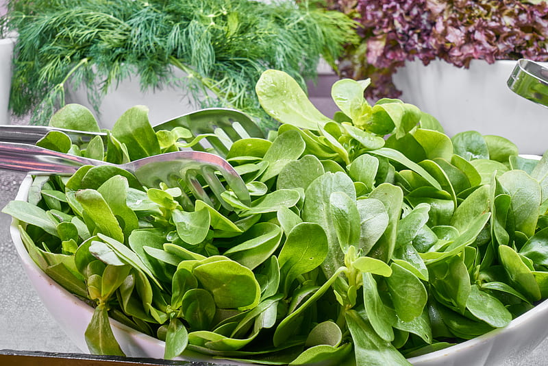 vegetable, healty, green, fresh, salad, Food, HD wallpaper