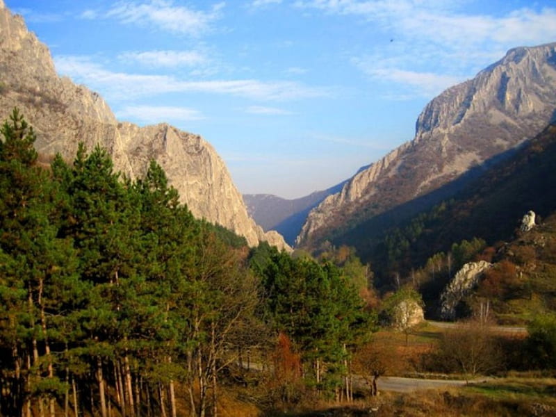 Hemus, forest, rocks, fall, autumn, evergreen, bonito, trees, sky, mountain, graphy, nature, road, bulgaria, HD wallpaper