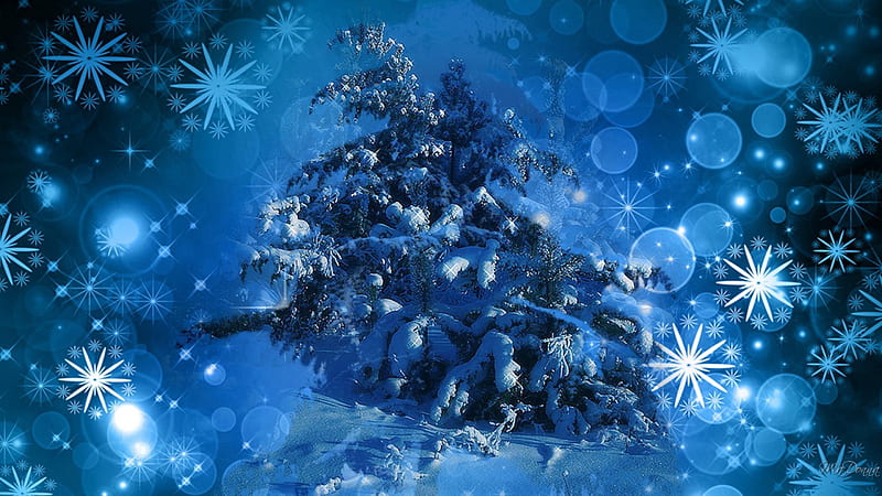 Sparkle of Winter Snow, stars, Christmas, forest, shine, collage ...