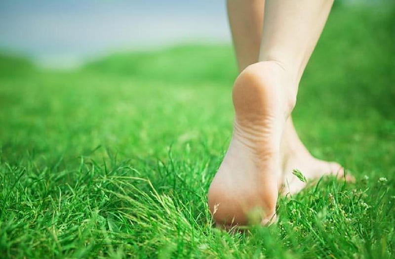 Walking on the grass, green, sole, grass, nature, barefoot, walk, HD wallpaper