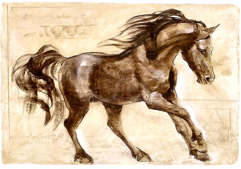 Книга черный конь. Лошади картины художников. Экстерьер лошади живопись. Картина лошадь Модерн. Лошадь картинка рисунок.