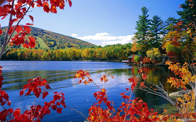 Lakeside, fall, water, autumn, flowers, colours, cabin, lake, HD wallpaper
