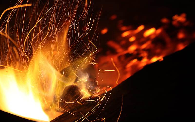 Burning coal fire close-up-Life graphy, HD wallpaper
