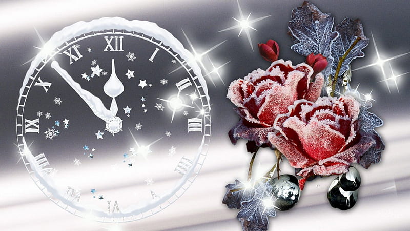 Winter Frosting, stars, flowers, glow, rose, time, shine, clock, silver, cold, leaves, snow, berries, ze, ice, flowers, frost, HD wallpaper