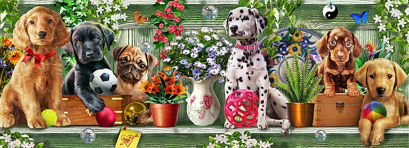 Puppies, luminos, adrian chesterman, flower, dalmatian, dog, puppy, vara, ball, fantasy, summer, HD wallpaper